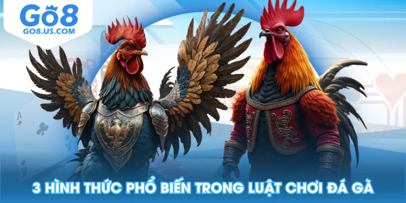 3 hình thức phổ biến trong luật chơi đá gà