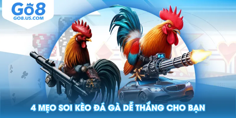 4 mẹo soi kèo đá gà dễ thắng cho bạn