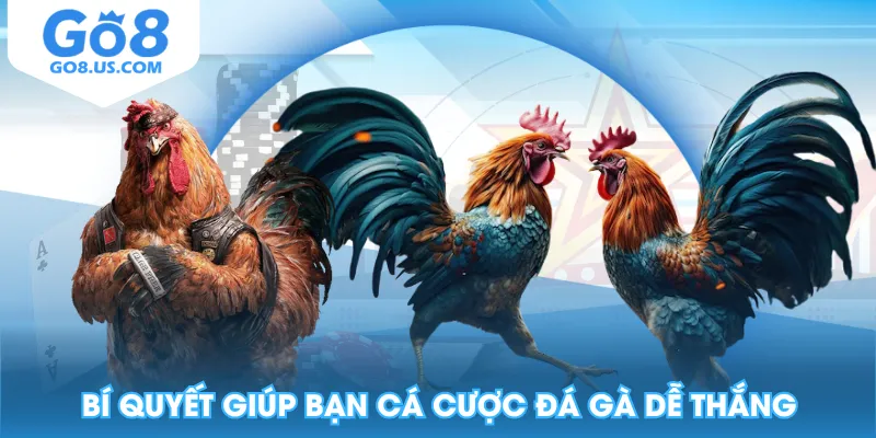 Bí quyết giúp bạn cá cược đá gà dễ thắng