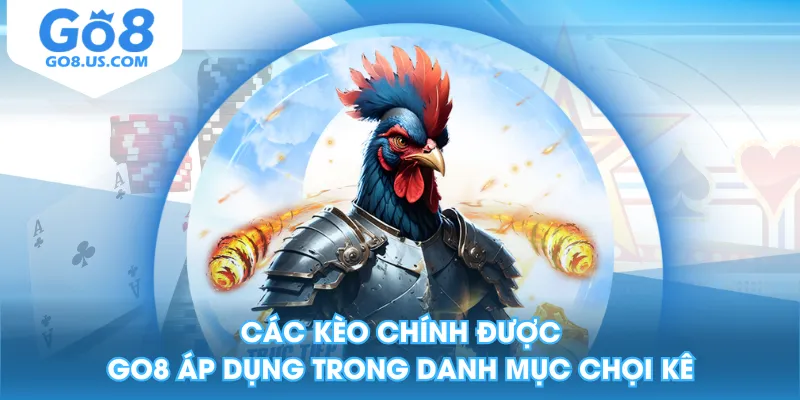 Các kèo chính được GO8 áp dụng trong danh mục chọi kê