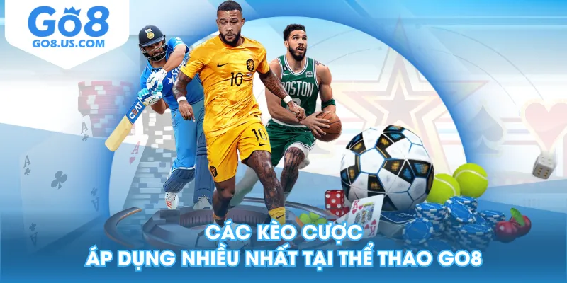 Các kèo cược áp dụng nhiều nhất tại Thể Thao GO8