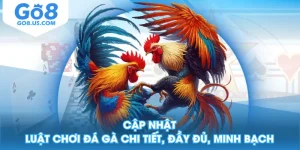 Cập Nhật Luật Chơi Đá Gà Chi Tiết, Đầy Đủ, Minh Bạch