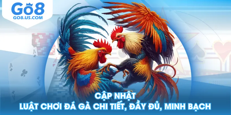 Cập Nhật Luật Chơi Đá Gà Chi Tiết, Đầy Đủ, Minh Bạch