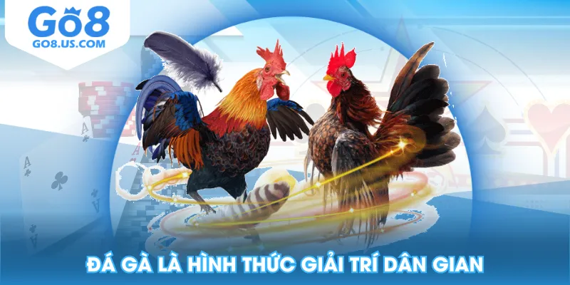 Đá gà là hình thức giải trí dân gian