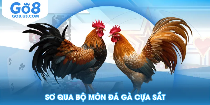 Sơ qua bộ môn đá gà cựa sắt