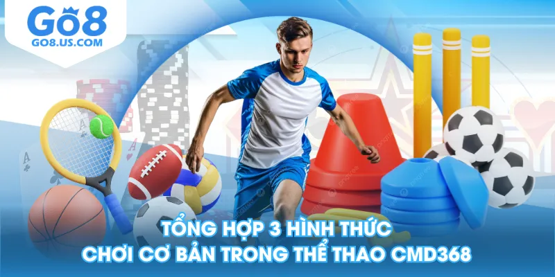 Tổng hợp 3 hình thức chơi cơ bản trong thể thao CMD368