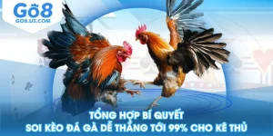 Tổng Hợp Bí Quyết Soi Kèo Đá Gà Dễ Thắng Tới 99% Cho Kê Thủ