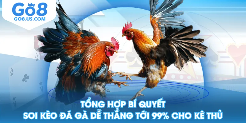 Tổng Hợp Bí Quyết Soi Kèo Đá Gà Dễ Thắng Tới 99% Cho Kê Thủ
