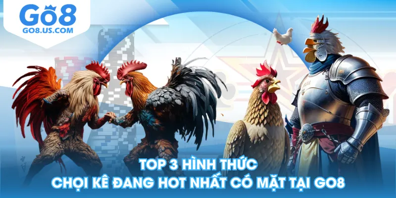 Top 3 hình thức chọi kê đang hot nhất có mặt tại GO8